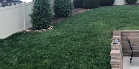 sod asheville|Sod Installation Asheville NC